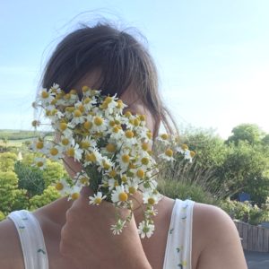 ©duventdansmesvalises - cueillette de fleurs de camomille sauvage