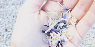 ©duventdansmesvalises - confetti de fleurs françaises