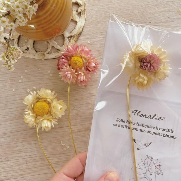 Floralie, jolie fleur séchée française décoration d'intérieure poétique pour la maison © du vent dans mes valises 2
