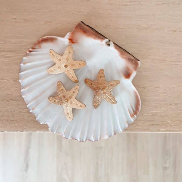 Trois broches étoile de mer en cuir surcyclé doré posées sur une grande coquille naturelle